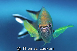 found in Lanzarote, D200 by Thomas Lueken 